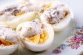 Sliced boiled eggs with mayonnaise and pepper in white plate isolated Royalty Free Stock Photo