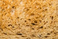 Sliced bread texture. piece of wheat bread