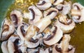 Sliced button mushrooms simmering in butter in green pan - closeup - selective focus