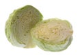 Sliced Cabbage Isolated