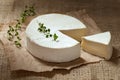 Sliced camembert cheese, creamy round traditional Royalty Free Stock Photo