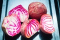 Sliced Candy Cane Beets, also known as Chioggia Beets, arranged on a baking tray. Royalty Free Stock Photo