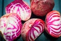 Sliced Candy Cane Beets, also known as Chioggia Beets, arranged on a baking tray.