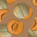 Seamless pattern of melons on a beige background. Royalty Free Stock Photo