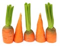 Sliced carrot Royalty Free Stock Photo