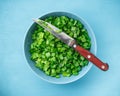 Sliced green onions or scallions in a bowl Royalty Free Stock Photo