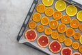 Sliced citrus on baking sheet Royalty Free Stock Photo