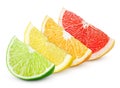 Sliced citrus fruit - lime, lemon, orange and grapefruit Royalty Free Stock Photo