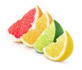 Sliced citrus fruit - lime, lemon, orange and grapefruit Royalty Free Stock Photo