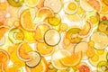 Sliced citrus fruits background.