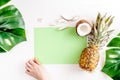 Sliced coconut and pineapple in exotic summer fruit design white background top view mock-up Royalty Free Stock Photo