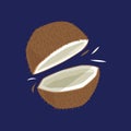 Sliced coconut. Vector illustration decorative background design