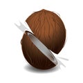 Sliced coconut. Vector illustration decorative background design