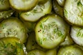 Sliced Cucumbers With Dill Sprinkled