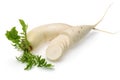 Sliced daikon white radish Royalty Free Stock Photo