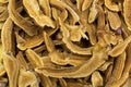 Sliced dried Lingzhi reishi mushroom. It is medicinal mushroom i Royalty Free Stock Photo