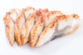 Sliced eel isolated Royalty Free Stock Photo