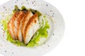 Sliced eel with salad Royalty Free Stock Photo