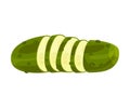 Sliced Emerald Green Pimpled Cucumber Vector Item