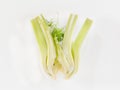 Sliced fennel bulb Royalty Free Stock Photo