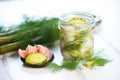sliced fermented pickles beside a fresh dill sprig