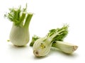 Florence fennel isolated Royalty Free Stock Photo