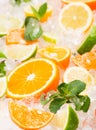 Fresh citrus with ice. Tropical fruits. Royalty Free Stock Photo