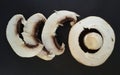 Closeup of sliced common mushrooms isolated over black. Fresh mushrooms ready for preparing. Royalty Free Stock Photo