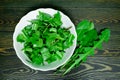 Sliced fresh juicy bright green dandelion leaves in a white plate and several whole leaves on a dark wooden background Royalty Free Stock Photo