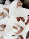 Sliced fresh mushrooms. champignons, ingredients for cooking Royalty Free Stock Photo