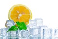 Sliced fresh orange in ice cube and mint leaf Royalty Free Stock Photo