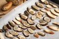 Sliced fresh pine bolete mushrooms, ready for drying