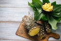 Sliced fresh pineapple in a bowl on the leaves Royalty Free Stock Photo