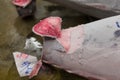 Sliced frozen Tuna Tail at Tsukiji Fish Market, Tokyo, Japan. Royalty Free Stock Photo