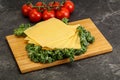 Sliced Gauda cheese over board Royalty Free Stock Photo
