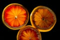 Sliced grapefruit half isolated on black background., copy space Royalty Free Stock Photo