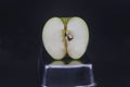 sliced green granny apple on a black background Royalty Free Stock Photo