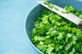 Sliced green onions or scallions in a bowl Royalty Free Stock Photo
