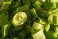 Sliced green onions, the texture of the surface. Close up. Background image