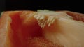 Sliced half of fresh raw red bell peppers. Sweet pepper piece with seeds and juicy pulp in macro shot on black studio Royalty Free Stock Photo