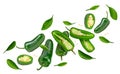 Sliced jalapeno peppers isolated on white background. Green chili pepper. Capsicum annuum. clipping path Royalty Free Stock Photo