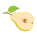 Sliced juicy pear cartoon style. Fresh pear with leaves. Royalty Free Stock Photo