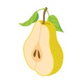 Sliced juicy pear cartoon style. Fresh pear with leaves. Royalty Free Stock Photo