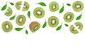Sliced kiwi fruit decorated with leaves isolated on white background with copy space for your text. Flat lay. Top view Royalty Free Stock Photo