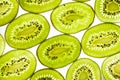 Sliced kiwi slices backlit isolated on white. Fruit background, top view
