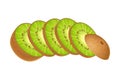 Sliced Kiwifruit or Kiwi as Edible Berry with Fibrous Brown Skin and Green Flesh Vector Illustration