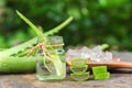 sliced and leaf of fresh aloe vera with essential oil