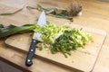 sliced leek and a large kitchen knife on a wooden kitchen worktop, cooking concept with copy space