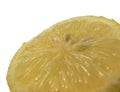 sliced lemon closeup abstract selective focus isolated on white background