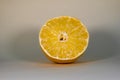 Sliced lemon fruits isolated on yellow background Royalty Free Stock Photo